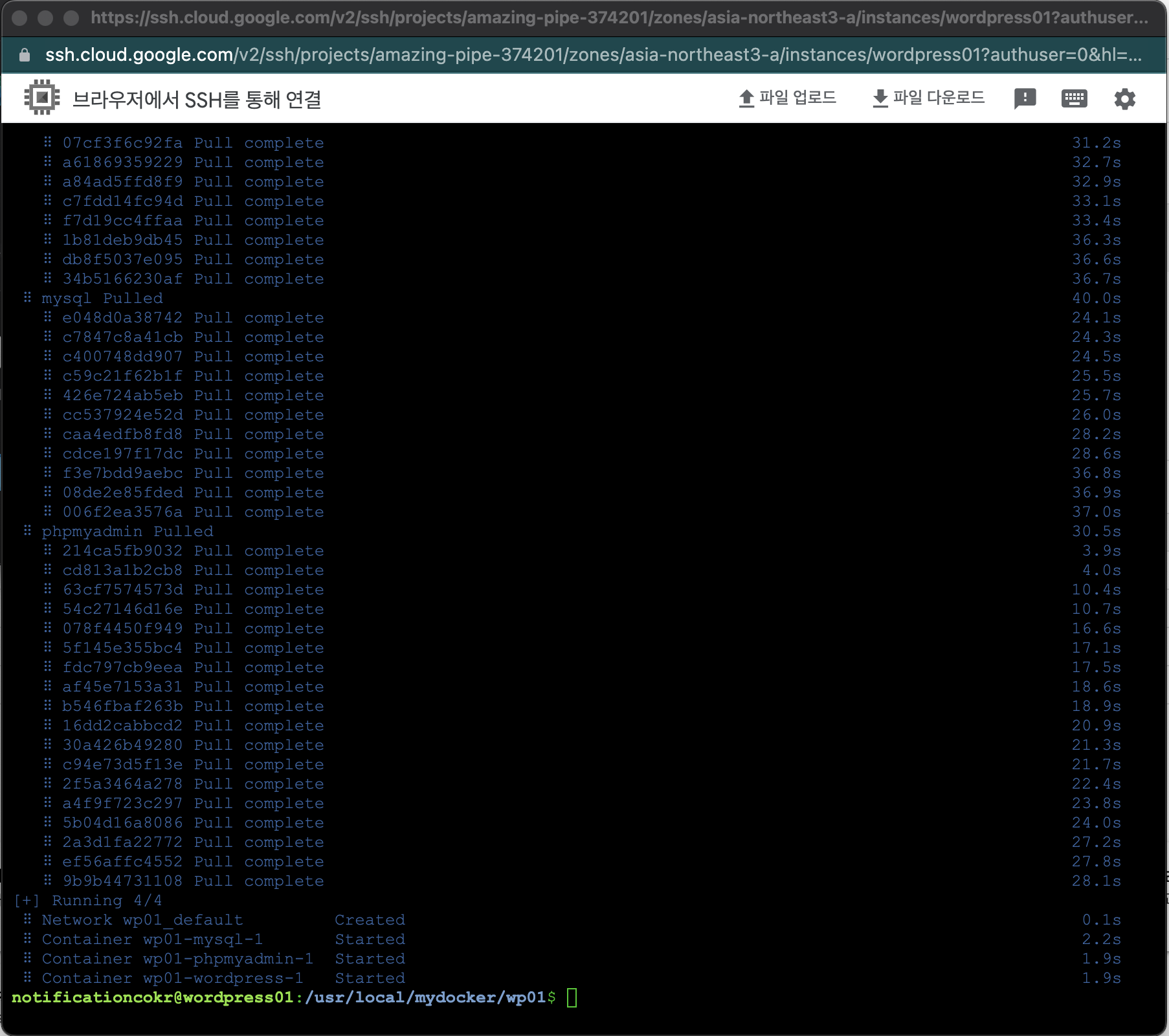 Docker로 워드프레스 설치하기